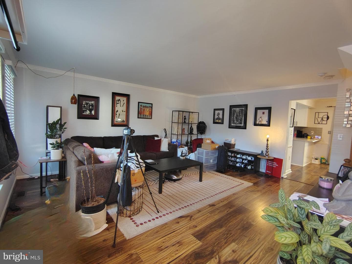 11217 Bent Creek Terrace photo 3