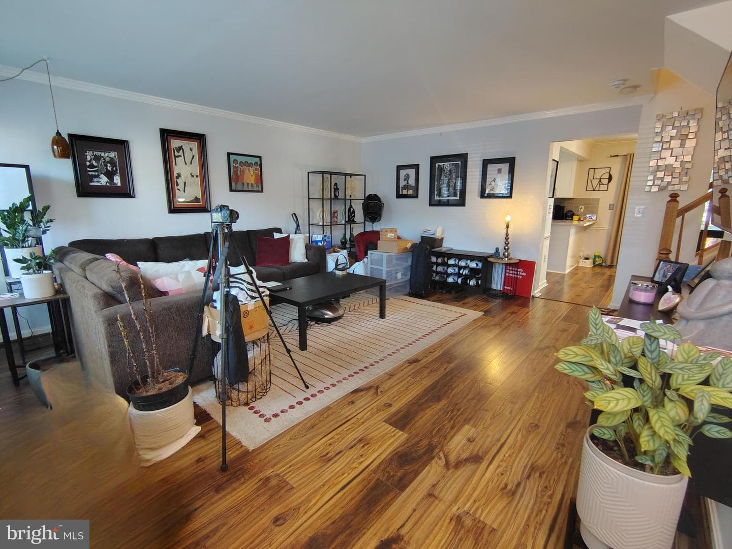 11217 Bent Creek Terrace photo 5