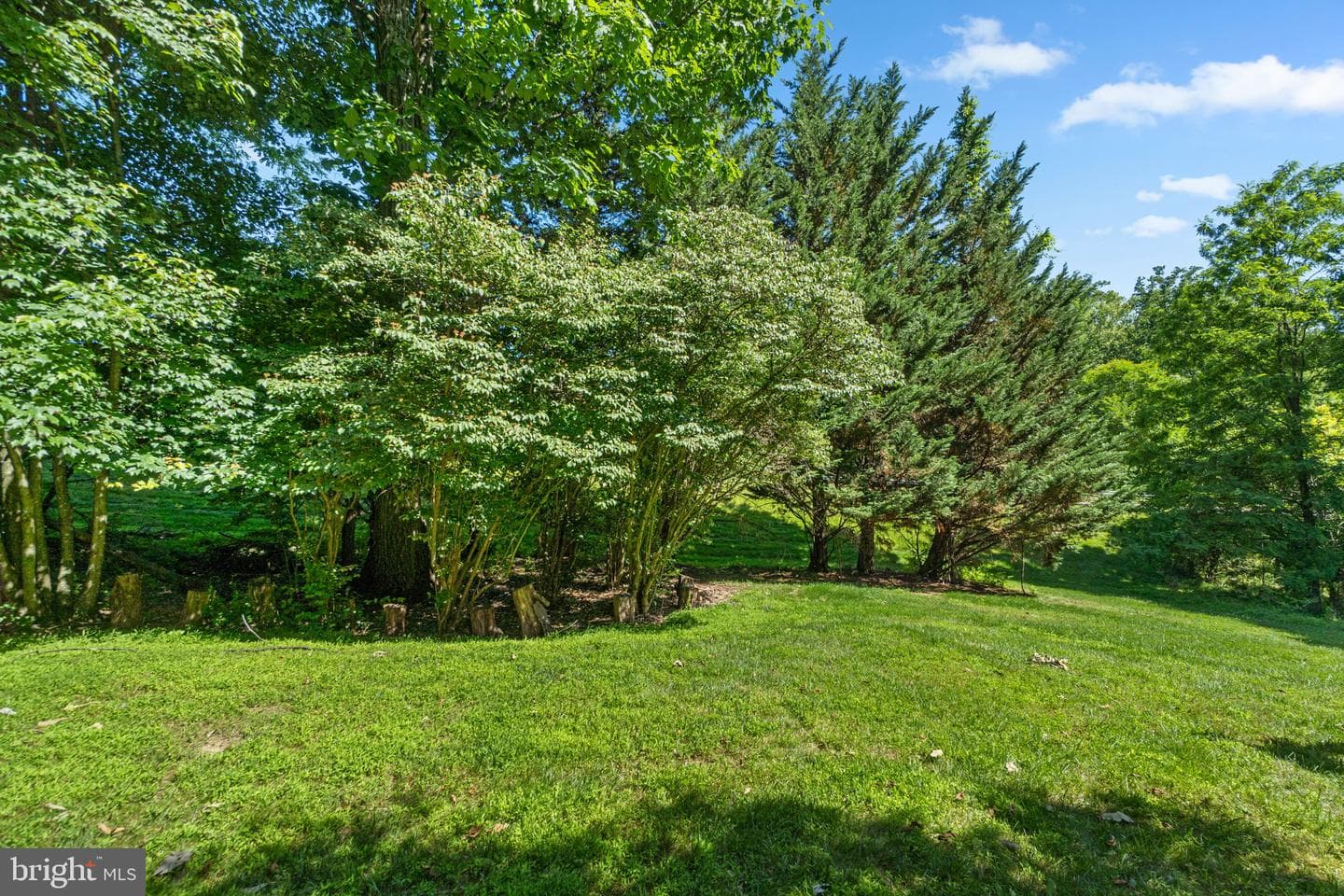 22707 Timber Creek Lane photo 59