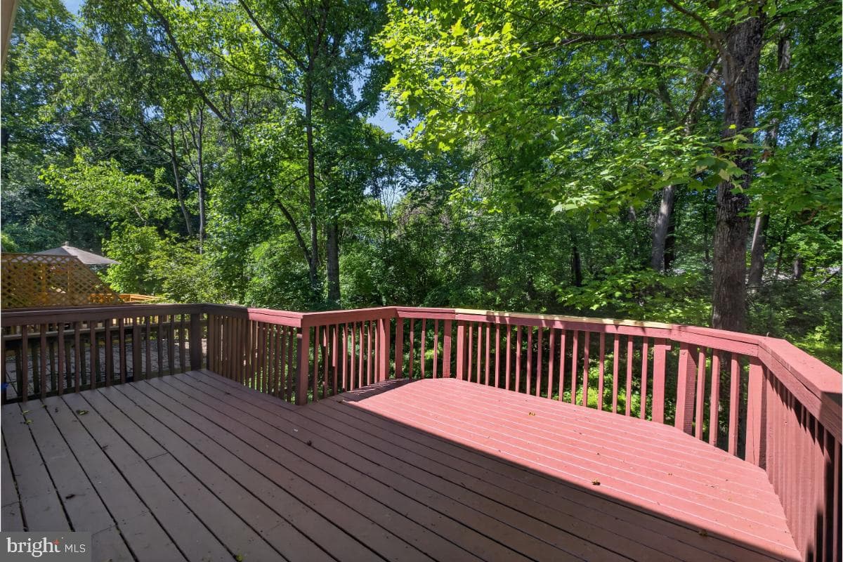 11348 Baroque Road photo 15