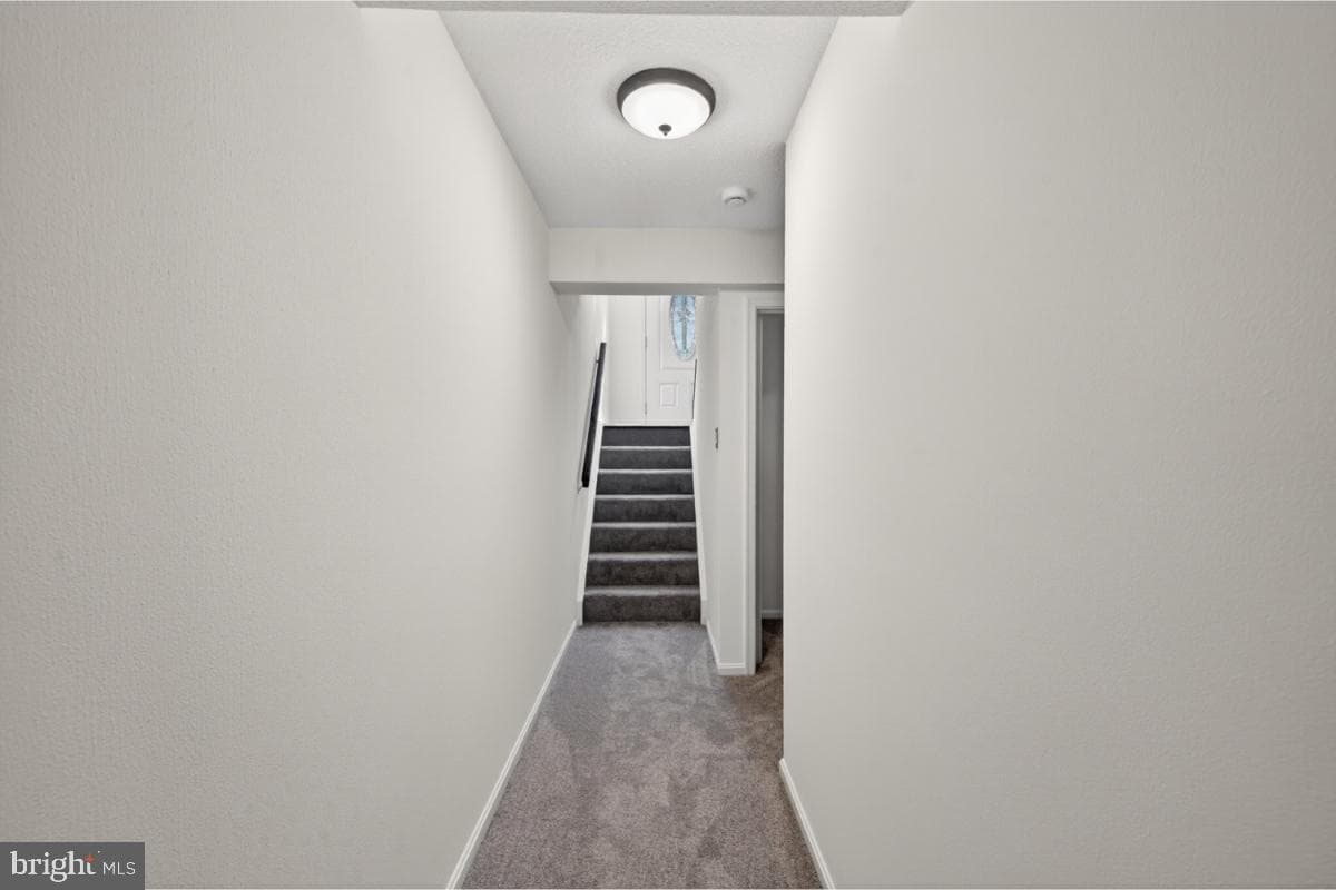 11348 Baroque Road photo 19