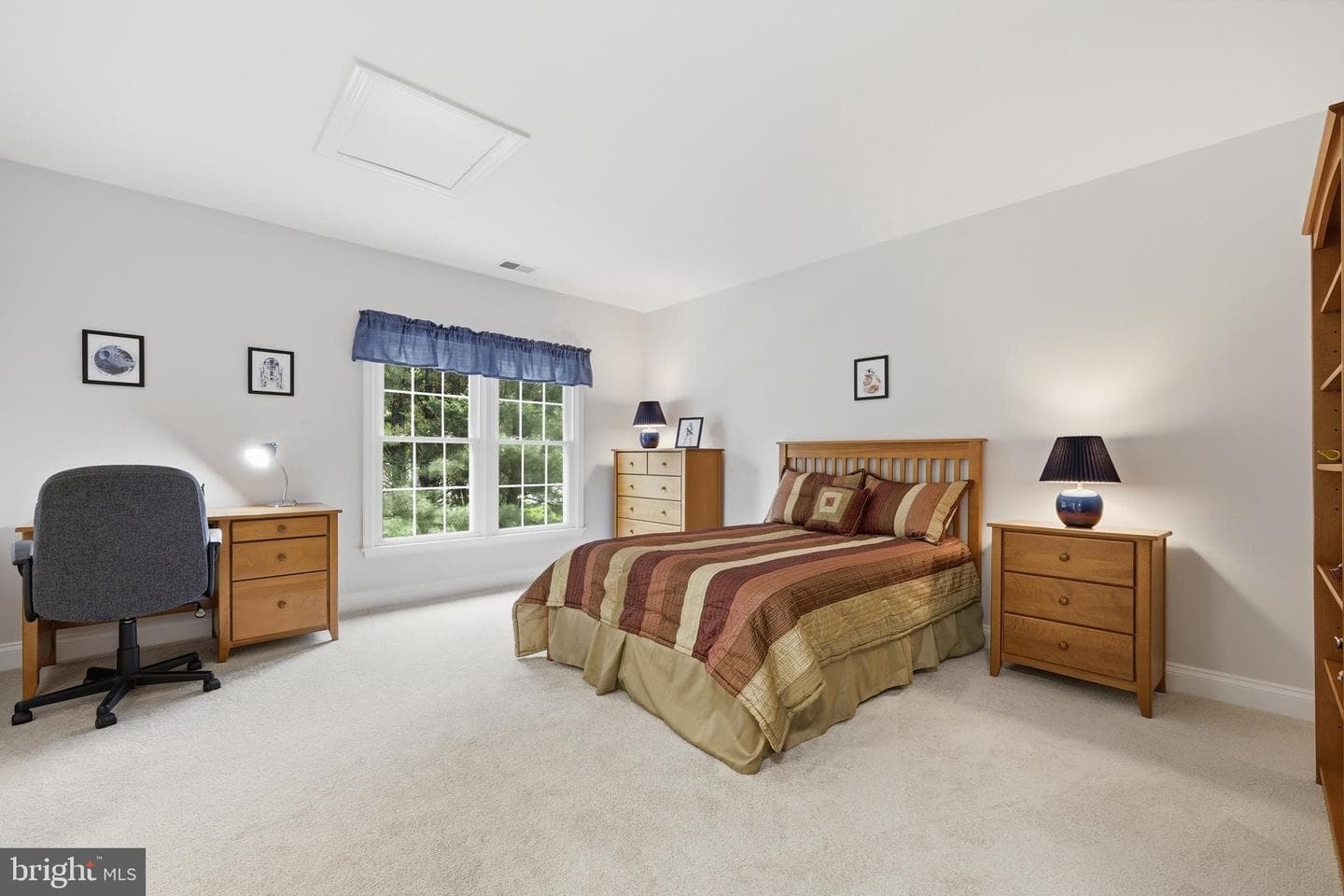 5019 Tothill photo 39