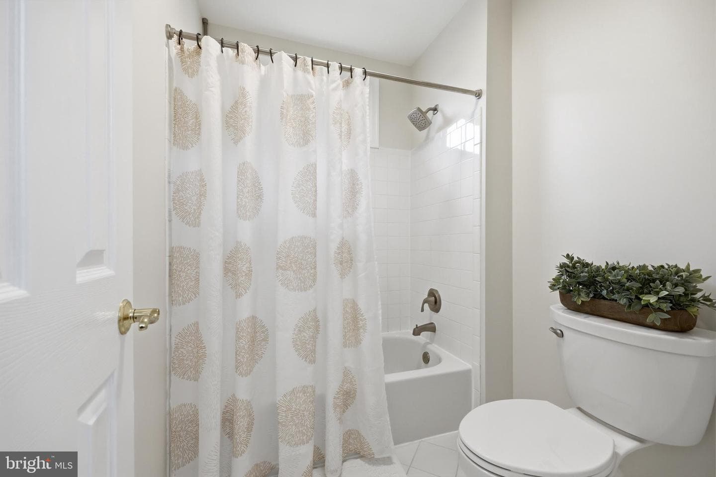 5019 Tothill photo 42