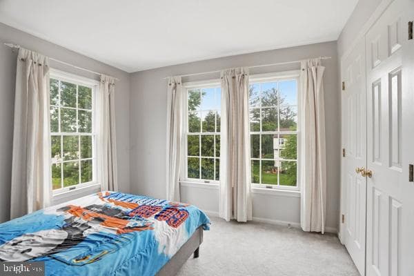 13428 Bregman Road photo 31