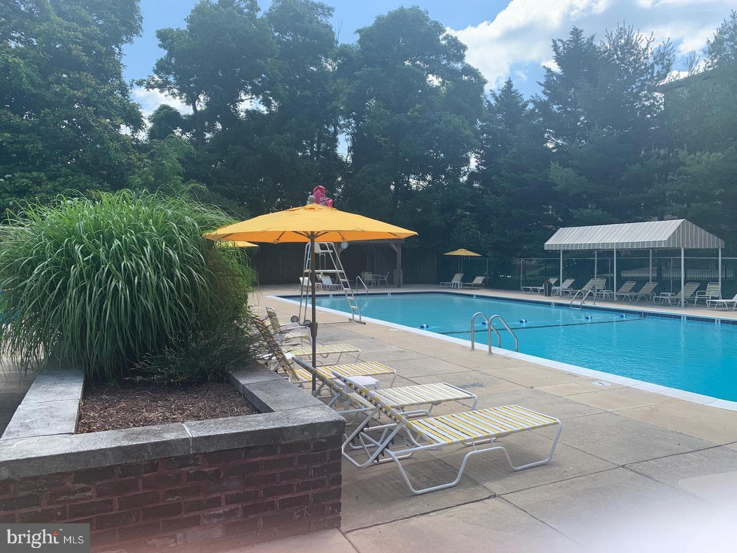 11801 Rockville Pike #709 photo 35
