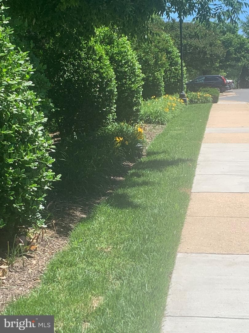 11801 Rockville Pike #709 photo 38