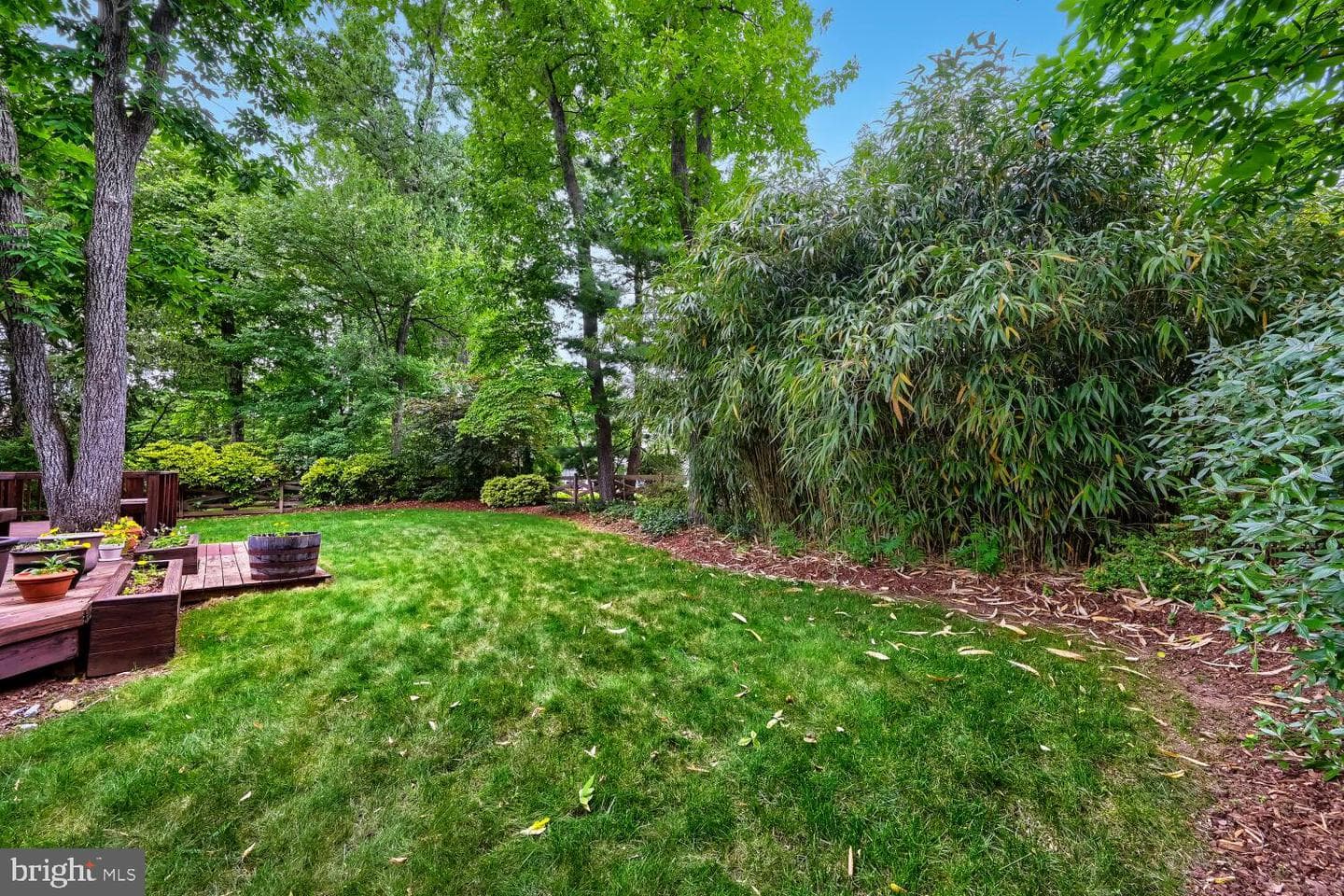 852 Diamond Drive photo 34