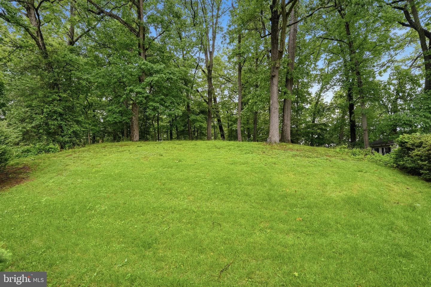 12112 Whippoorwill Lane photo 48