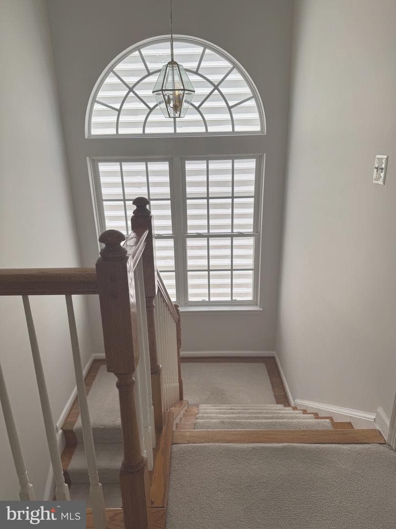 506 Leaning Oak Street photo 20