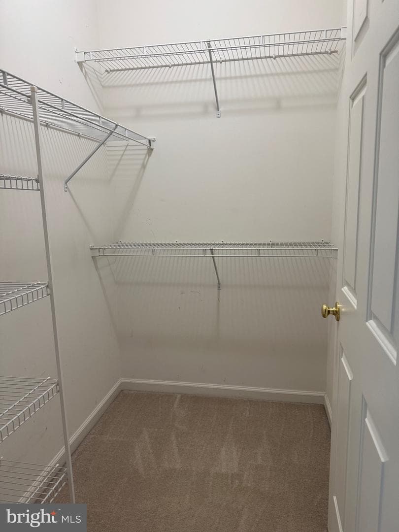506 Leaning Oak Street photo 25
