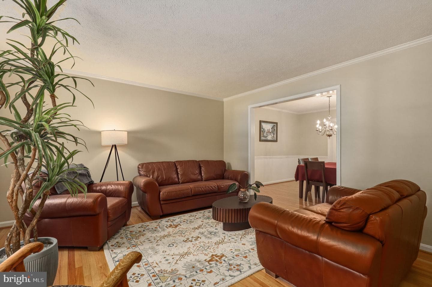 16605 Lescot Terrace photo 21