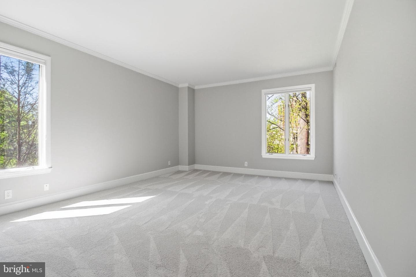 8101 Connecticut Avenue #N-304 photo 19
