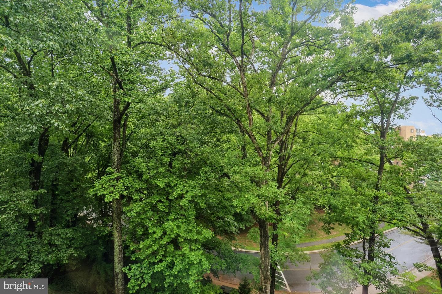 15100 Interlachen Drive #4-702 photo 29