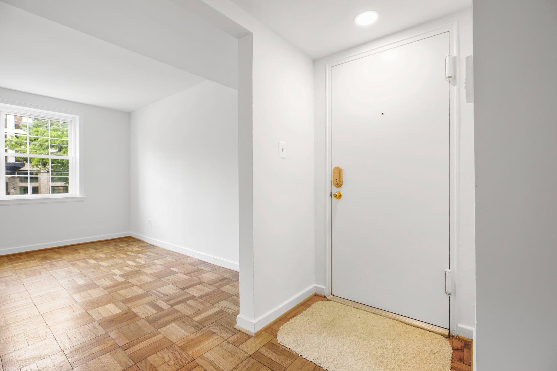 2202 Colston Drive #102 photo 7