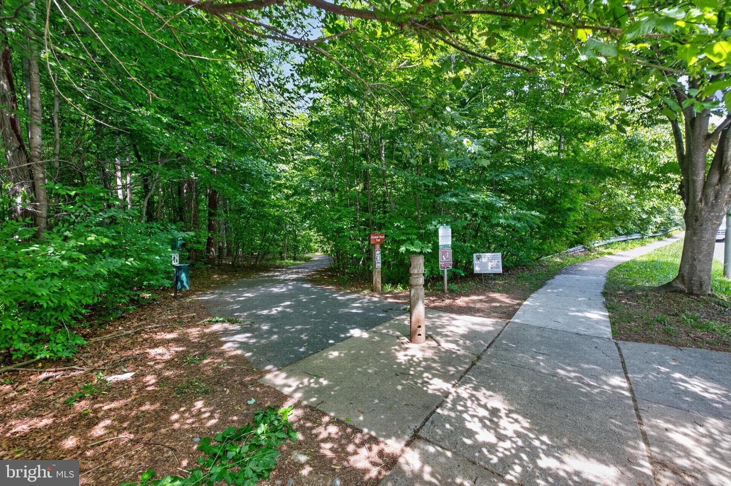 13026 Shamrock Glen Drive photo 42