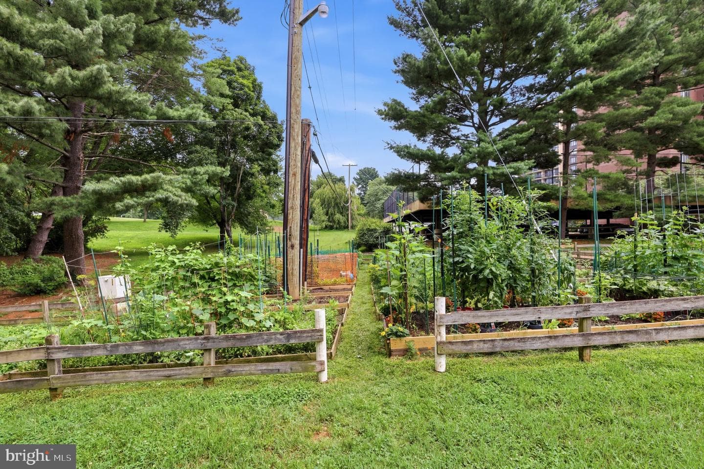 7525 Spring Lake Drive #c2 photo 34