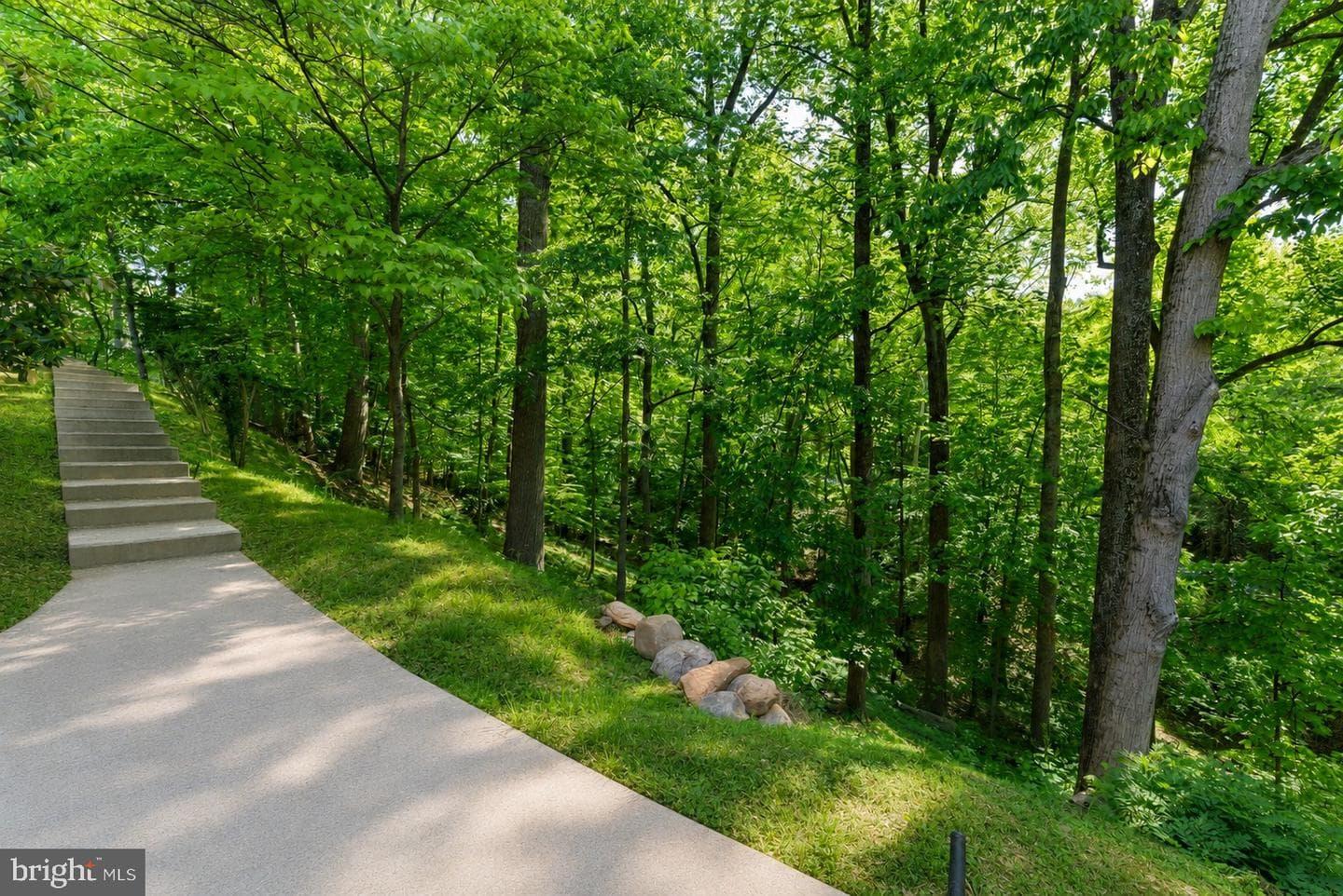 7003 Fawn Trail Court photo 36