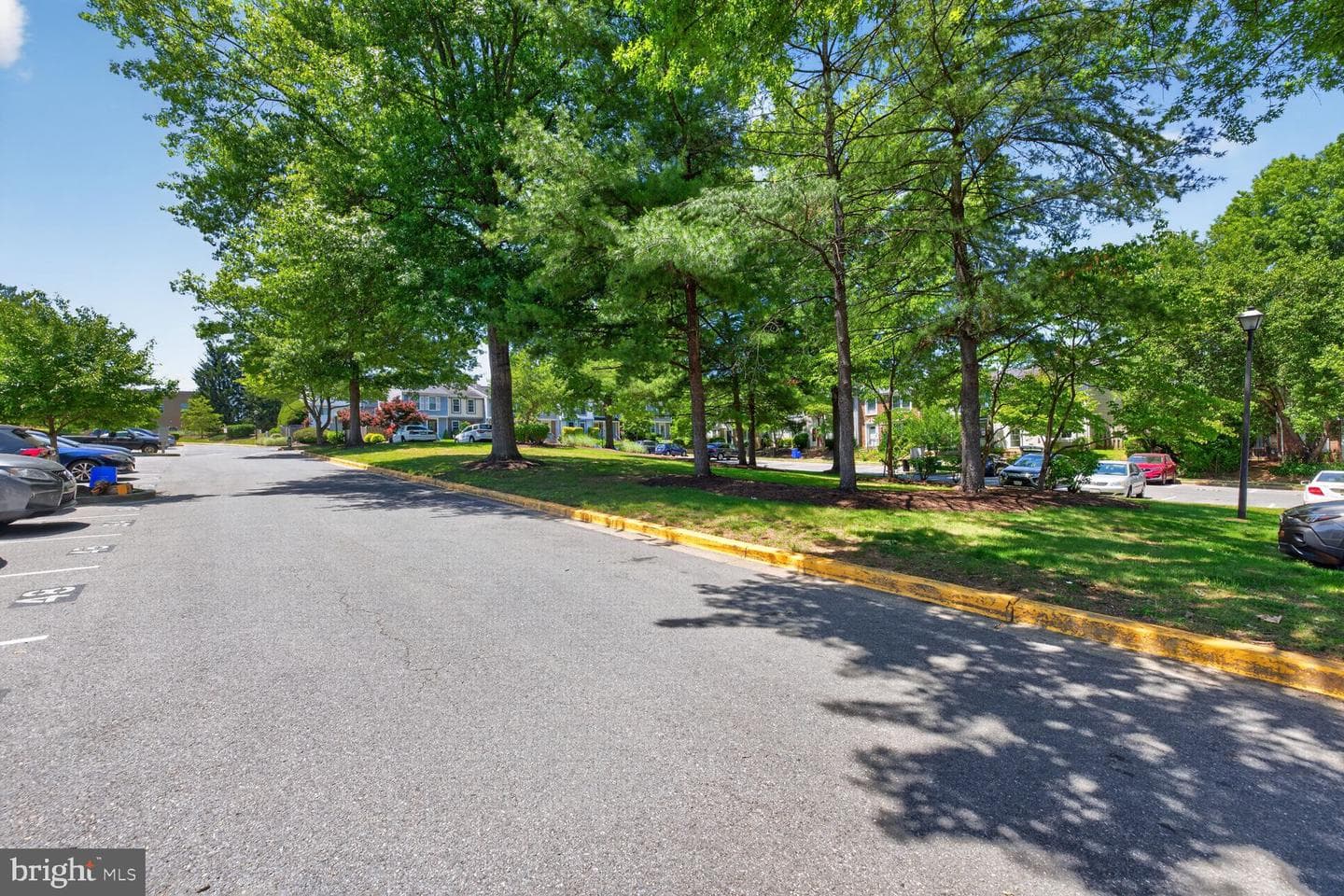 12523 Laurel Grove Place photo 19