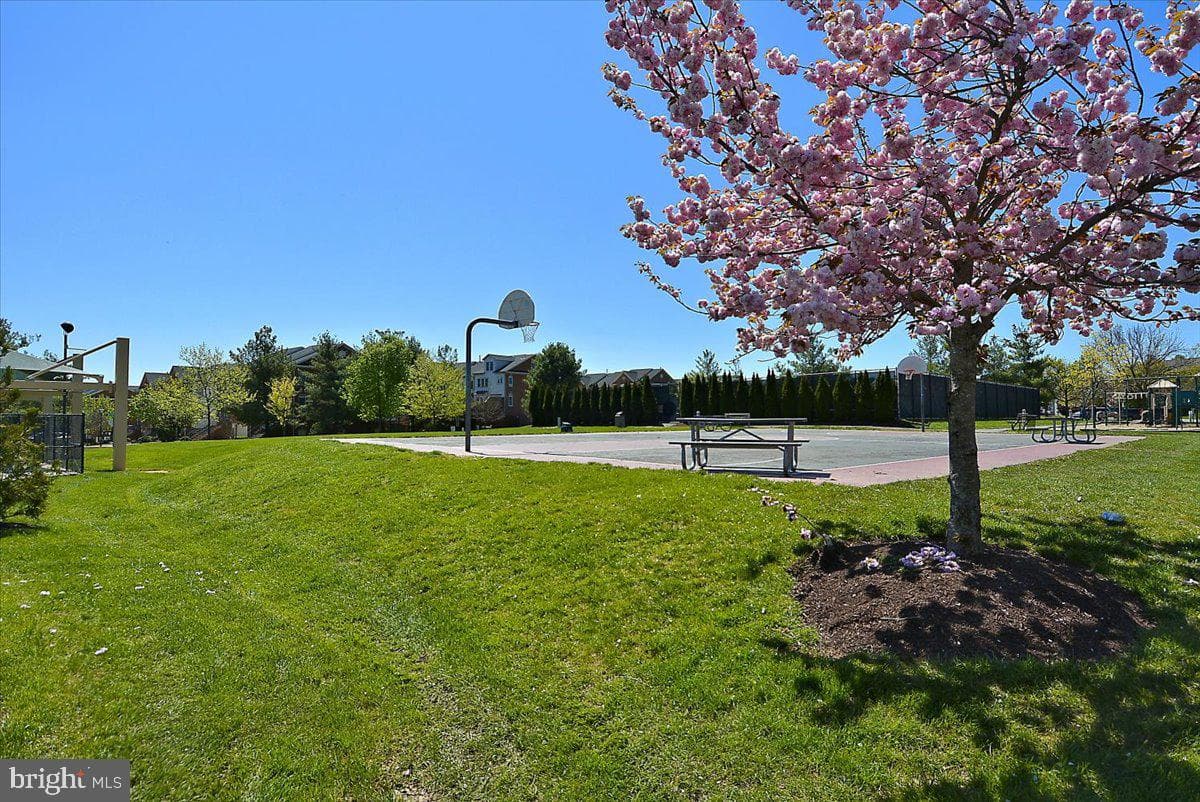 10407 Dalebrooke Lane photo 36