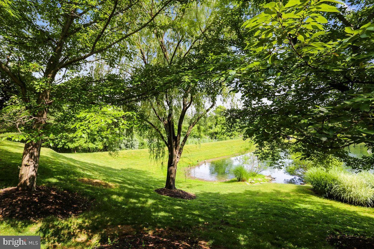 10407 Dalebrooke Lane photo 41