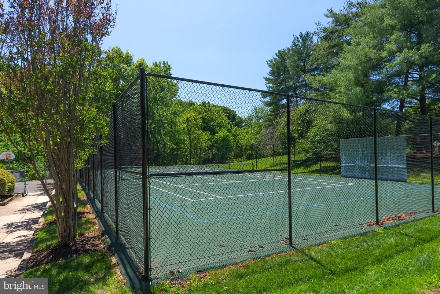 17 Hickory Hill Court photo 31