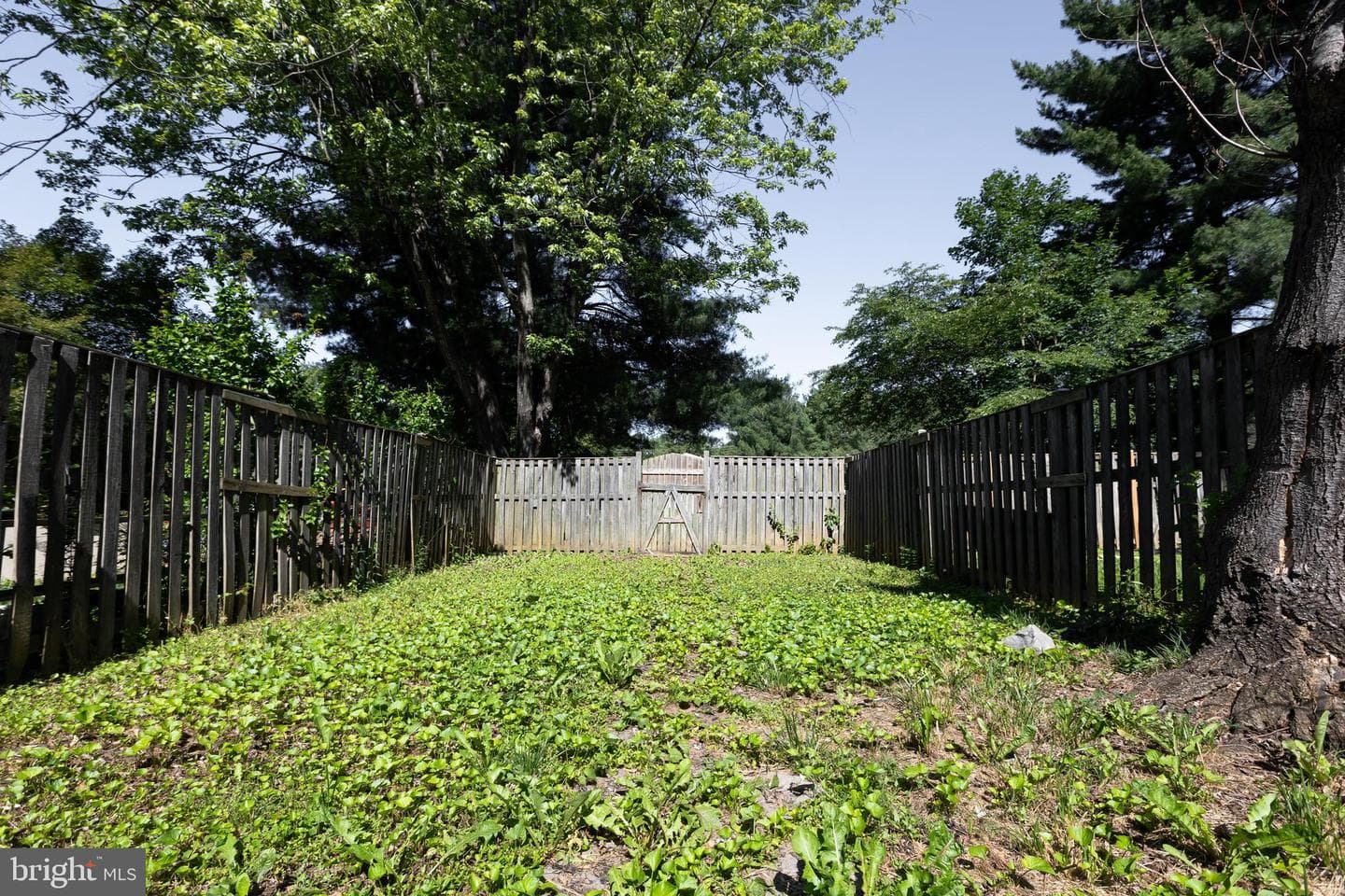 8828 Cross Country Place photo 45