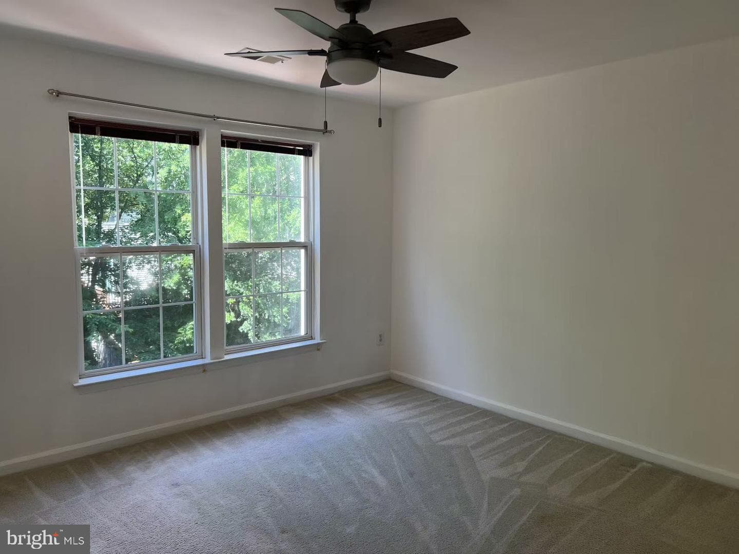 13620 Palmetto Circle photo 5