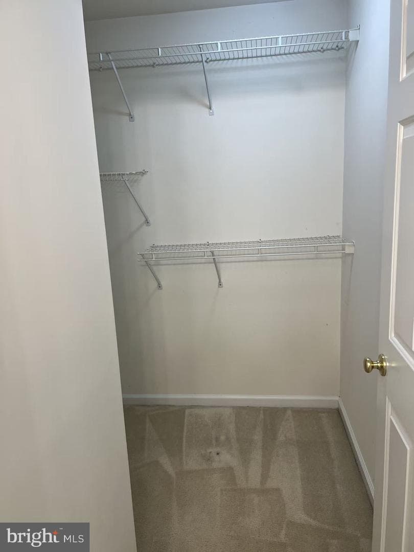 13620 Palmetto Circle photo 9