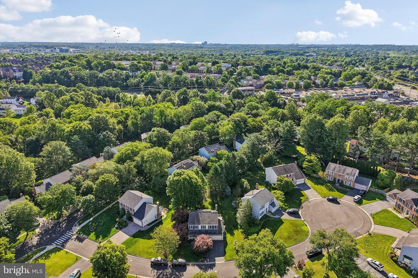 16013 Mills Orchard Drive photo 59