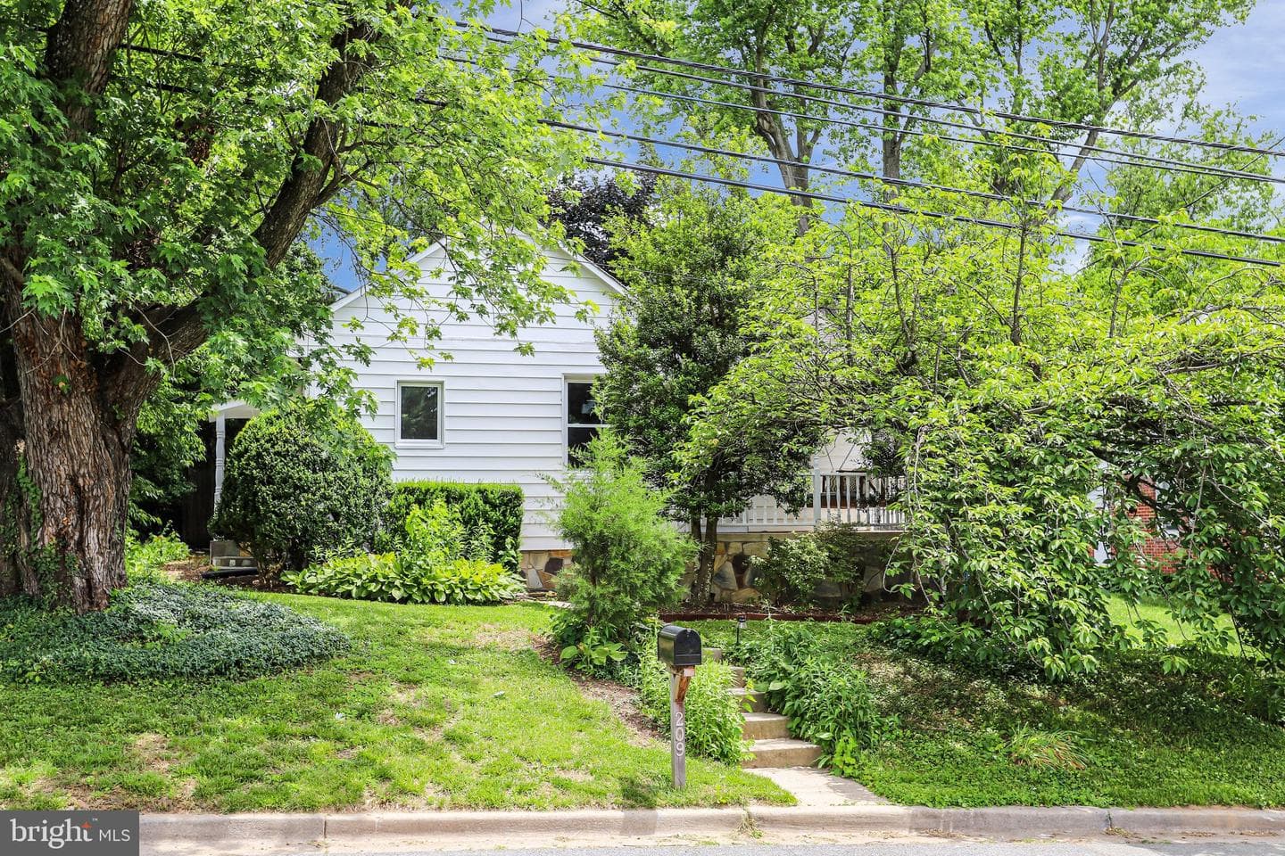 209 Cedar Avenue photo 31