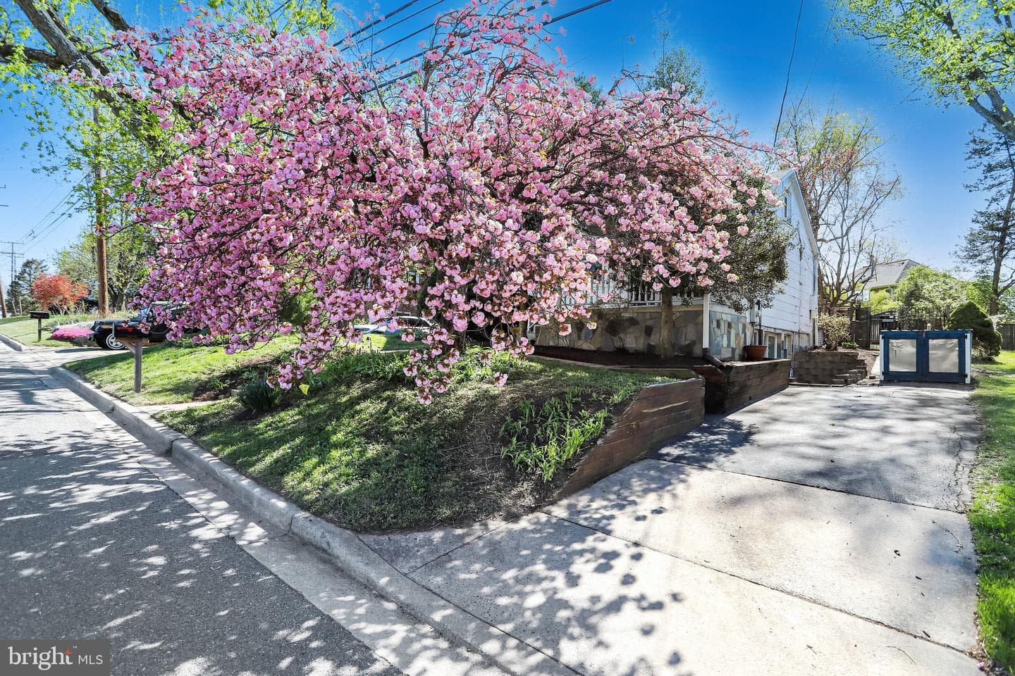 209 Cedar Avenue photo 6