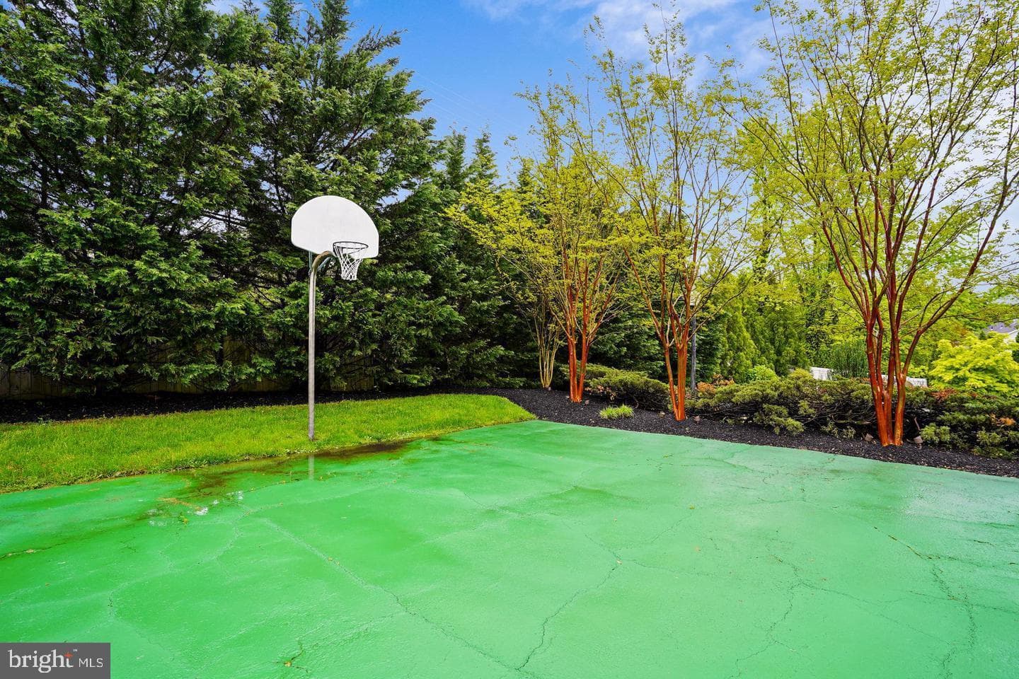 6 Crestview Court photo 12