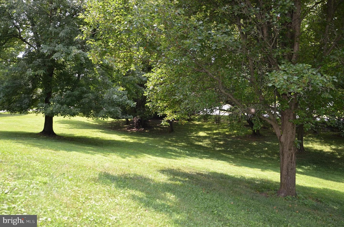 13813 Golden Fields Court photo 69