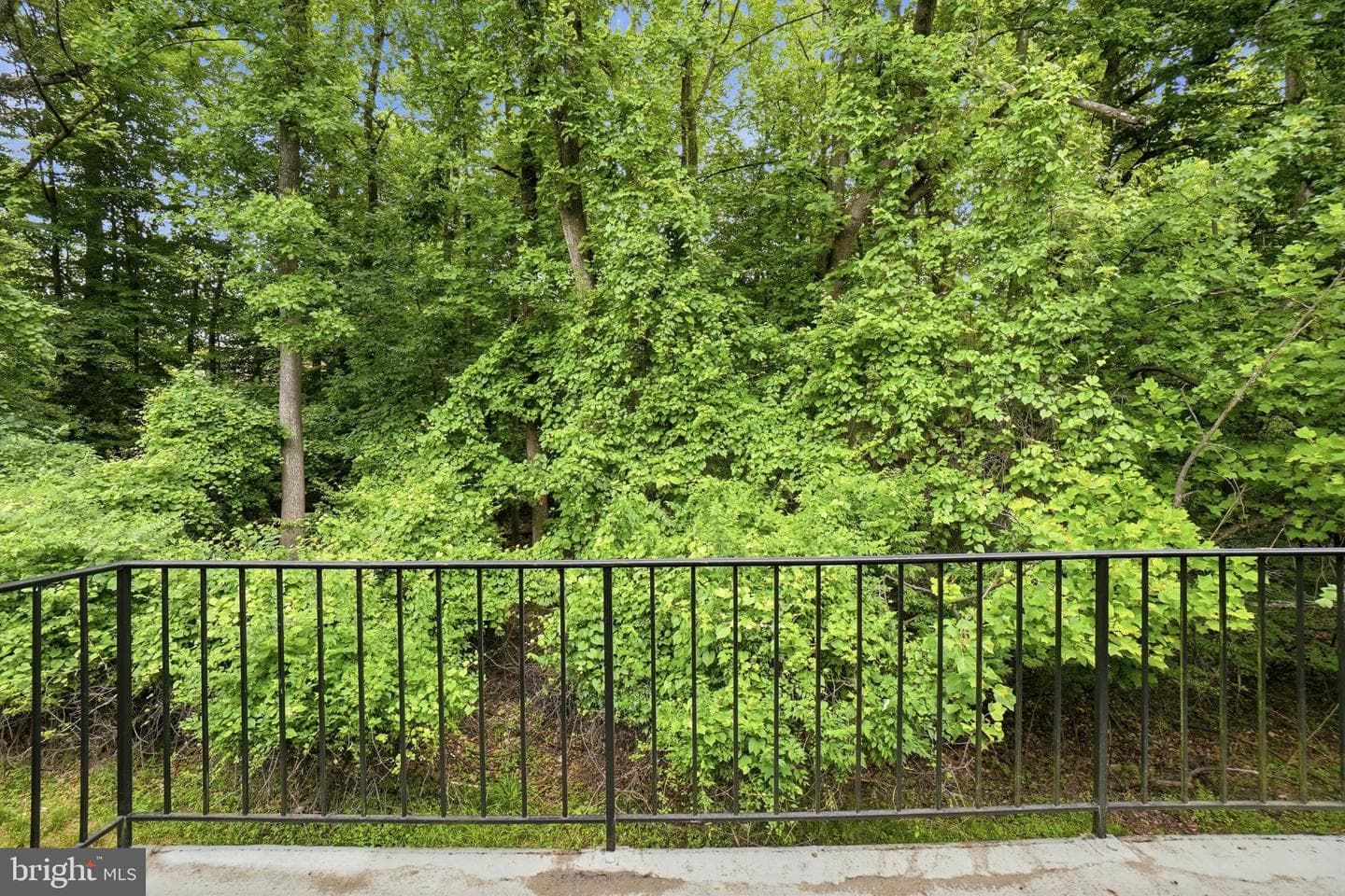 10607 Kenilworth Avenue #k-202 photo 5