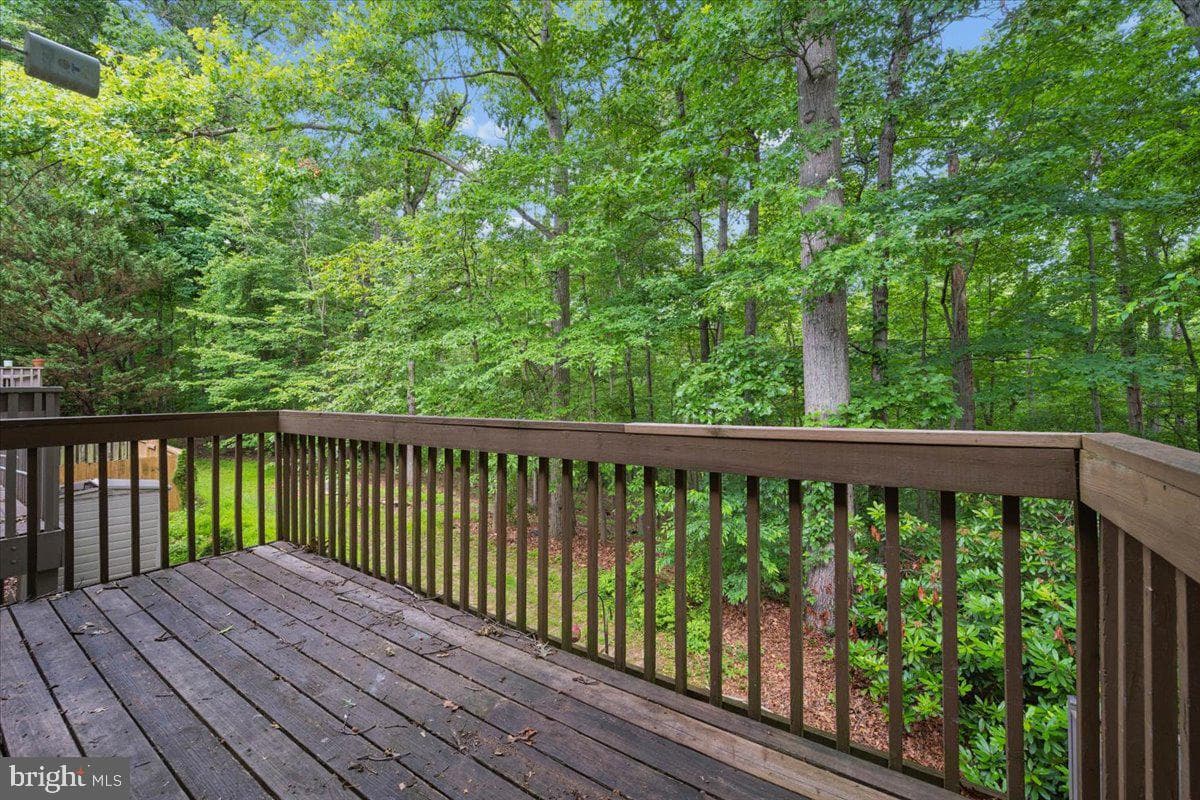 10113 Maple Leaf Drive photo 11