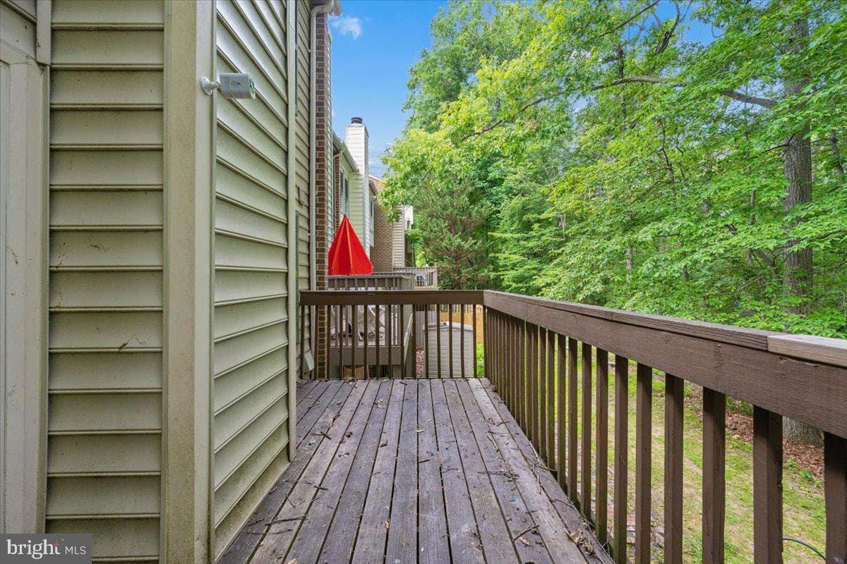 10113 Maple Leaf Drive photo 12