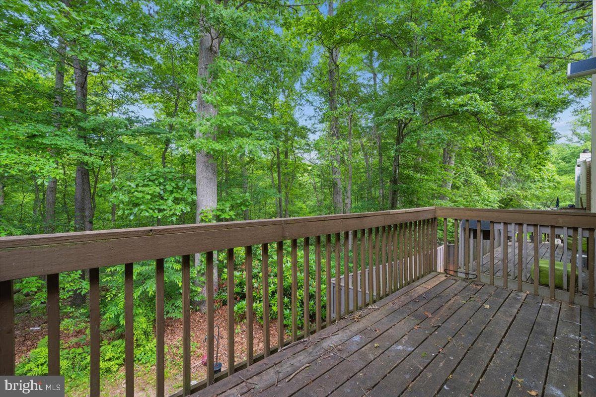 10113 Maple Leaf Drive photo 13