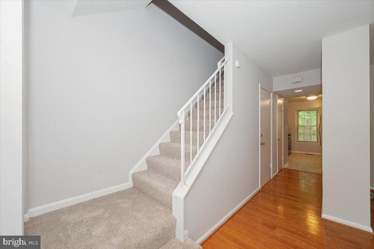 10113 Maple Leaf Drive photo 22