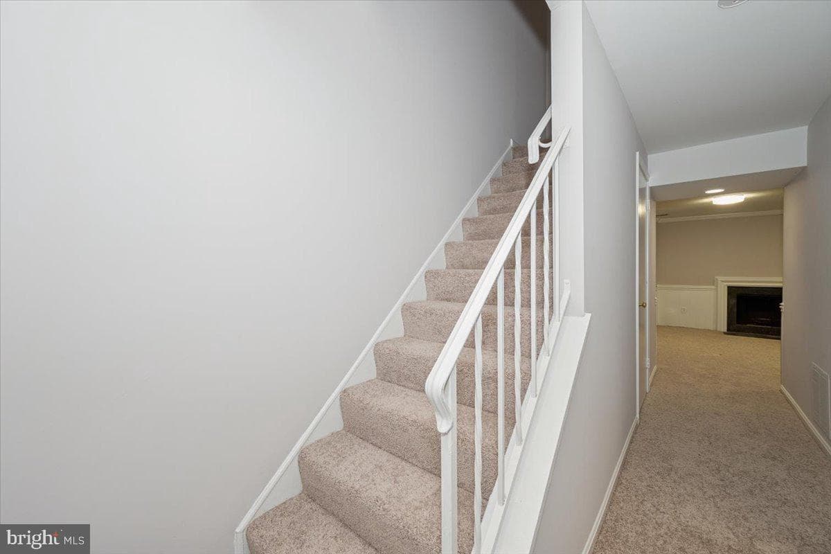 10113 Maple Leaf Drive photo 35