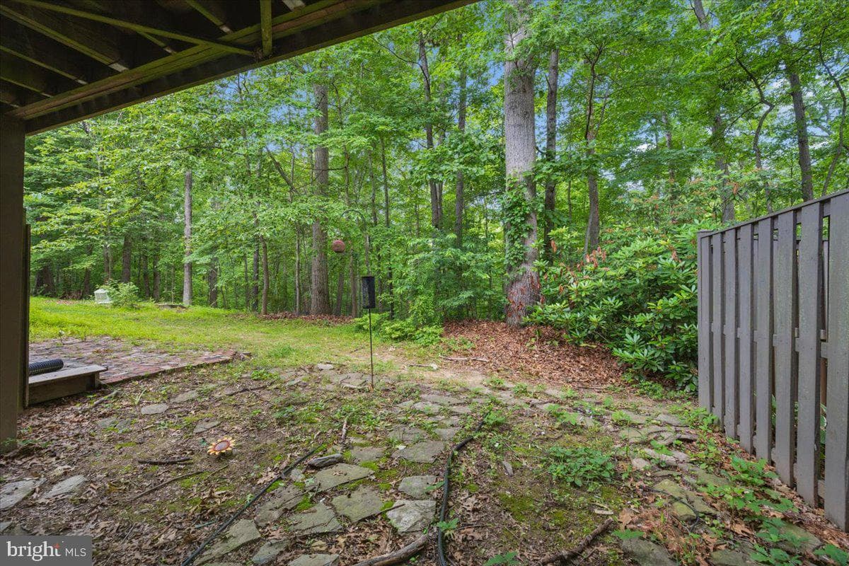 10113 Maple Leaf Drive photo 48