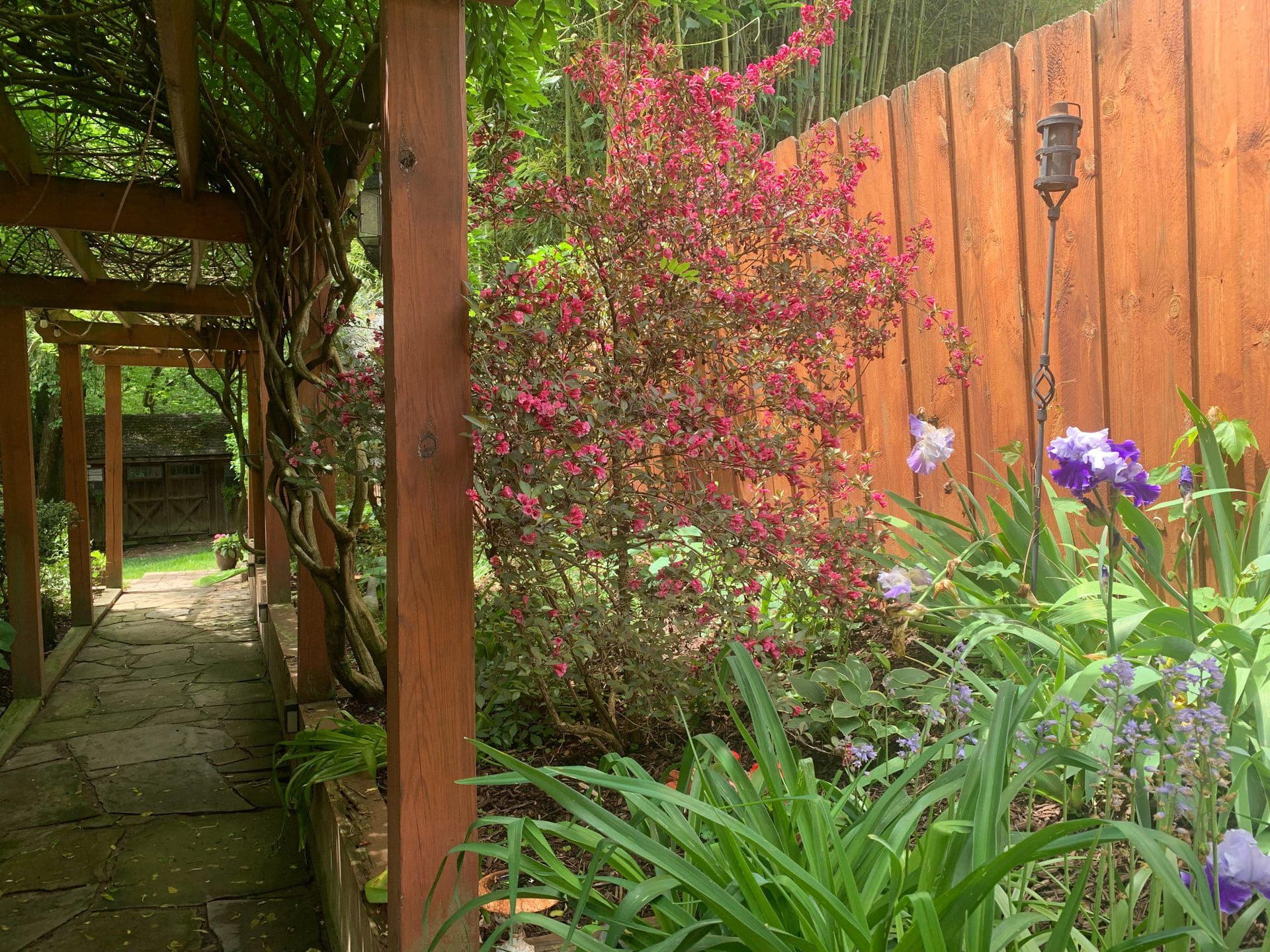 15802 Radwick Lane photo 38