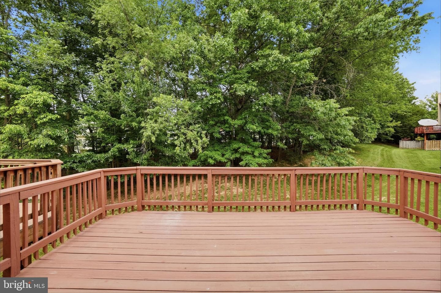 12327 Sour Cherry Way photo 13