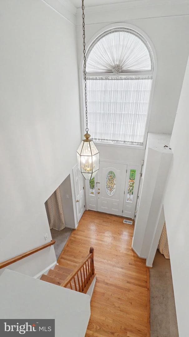 14308 Big Bear Court photo 7