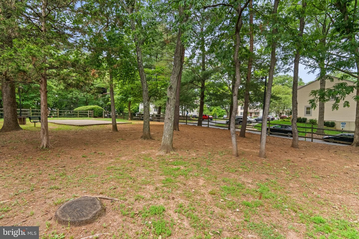 19238 Wheatfield Terrace photo 23