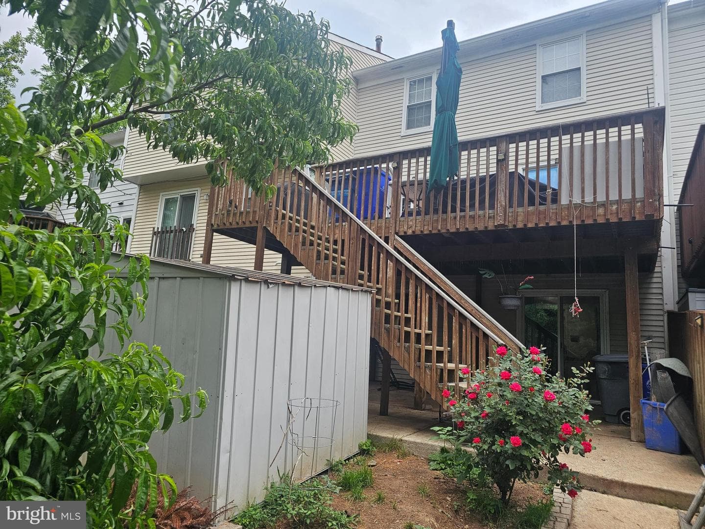 4524 Cannes Lane photo 33