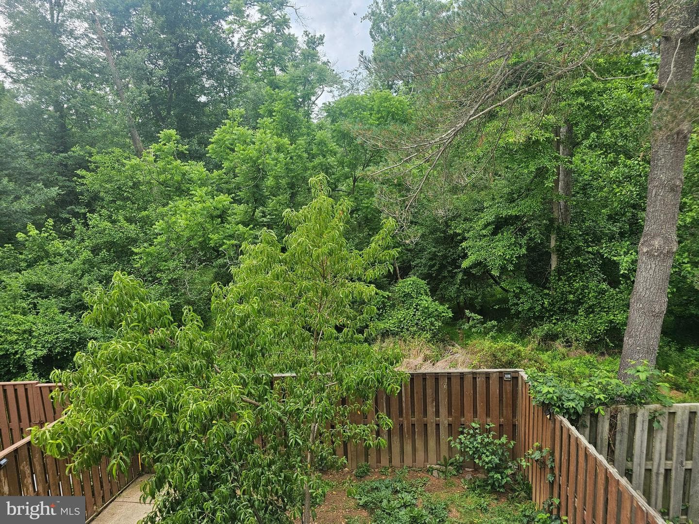 4524 Cannes Lane photo 35
