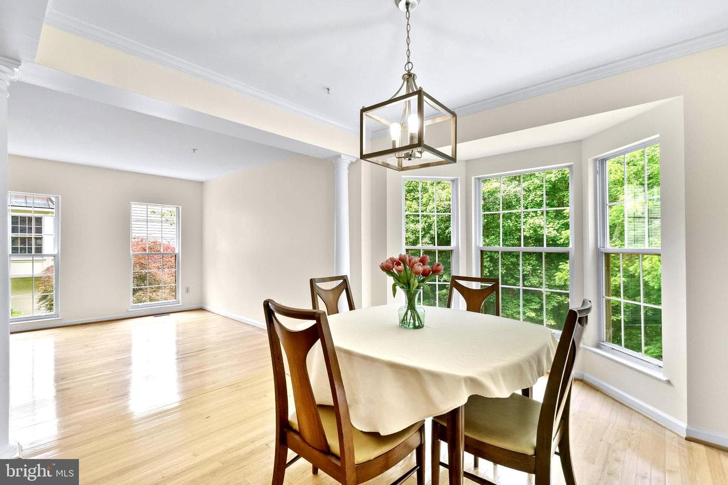 18627 Shadowridge Terrace photo 10