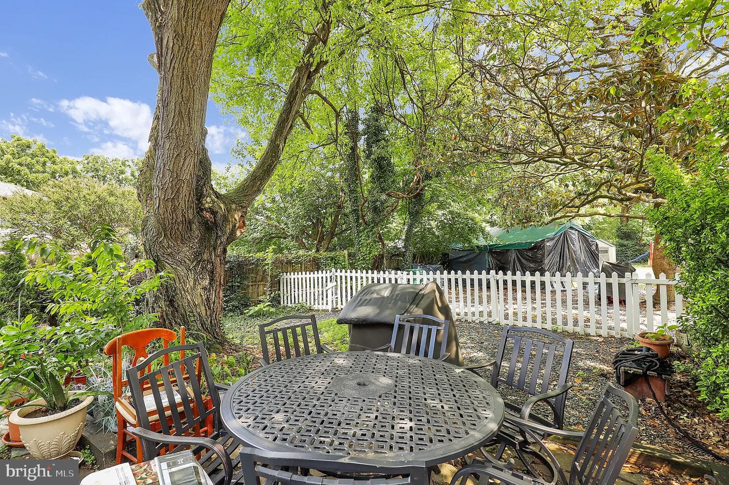 13 Cedar Avenue photo 26