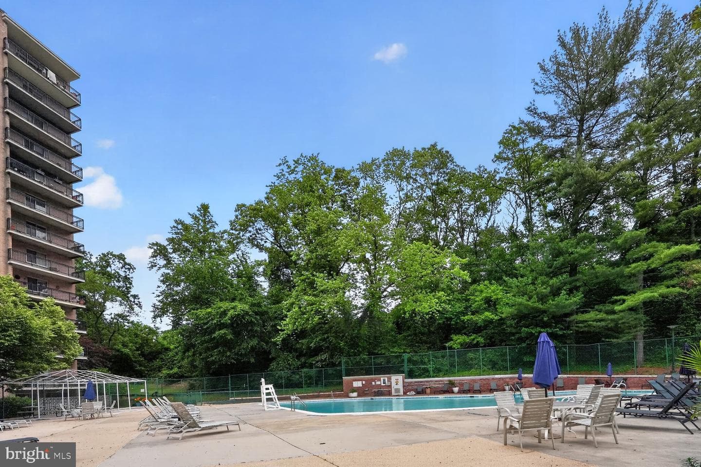 1900 Lyttonsville Road #1217 photo 14