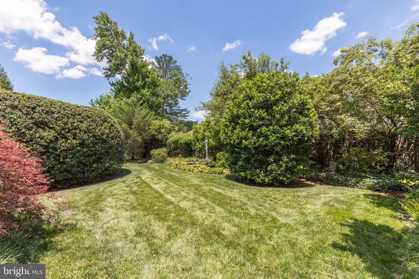 4509 Clearbrook Lane photo 33